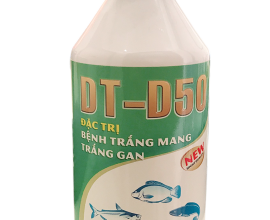 DT-D50