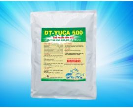 DT-YUCA 500