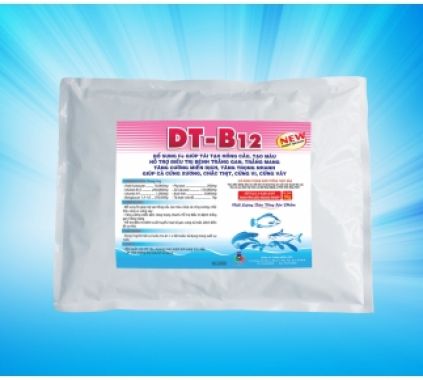 DT-B12