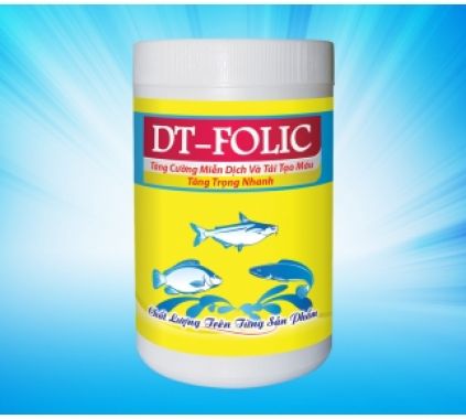 DT-FOLIC